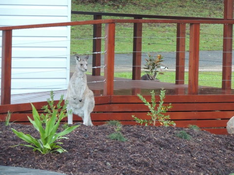 The Pouch B & B - Accommodation Burleigh 1