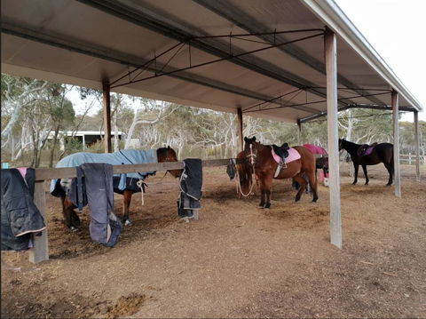 The Saddle Camp Tiny House, Braidwood - Accommodation Burleigh 1