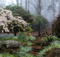 Tomah Retreat - Just RELAX - Accommodation Burleigh