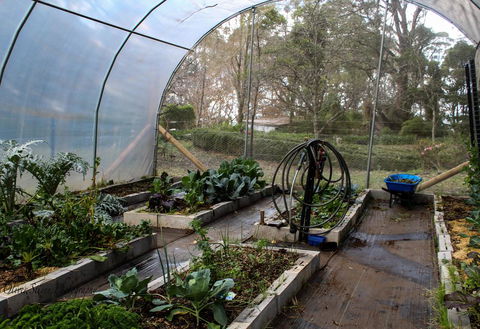 Tomah Retreat - Relax With Studio BREATHE - Accommodation Burleigh 2