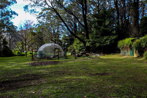 Tomah Retreat - Relax With Studio BREATHE - Accommodation Burleigh 1