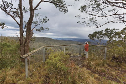 Toms Cabin - Accommodation Burleigh 2