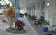 Twin Towns Motel - thumb 0
