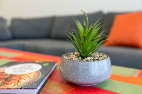 Urban Jungle! Executive Apartment In Heart Of CBD - Accommodation Burleigh 1