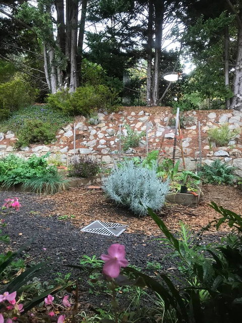 Alpine Aspects - Accommodation Burleigh 11
