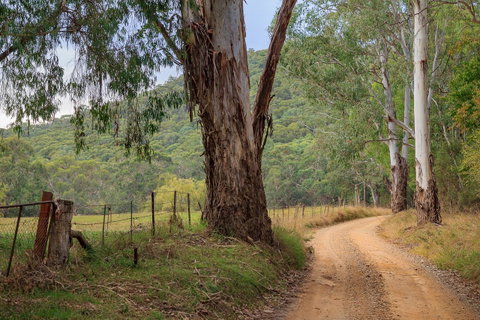 Alpine Aspects - Accommodation Burleigh 10