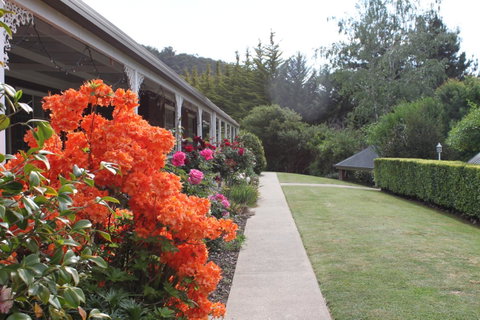 Alpine Aspects - Accommodation Burleigh 34