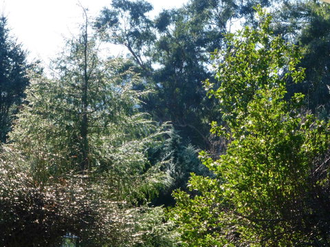 Alpine Aspects - Accommodation Burleigh 8