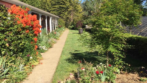 Alpine Aspects - Accommodation Burleigh 4