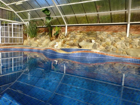 Alpine Aspects - Accommodation Burleigh 39