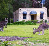 Marwood Luxury Villas - Accommodation Burleigh