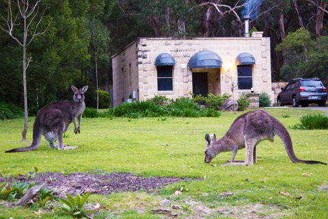 Marwood Villas - Accommodation Burleigh 31