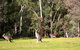Marwood Villas - thumb 28