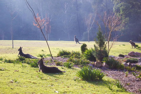 Marwood Villas - Accommodation Burleigh 30