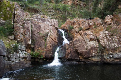 Marwood Villas - Accommodation Burleigh 41