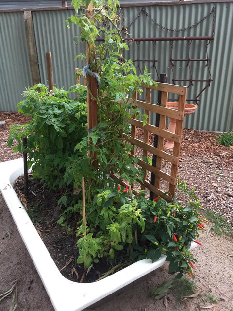 Grampians Pomonal Cottages - Accommodation Burleigh 28