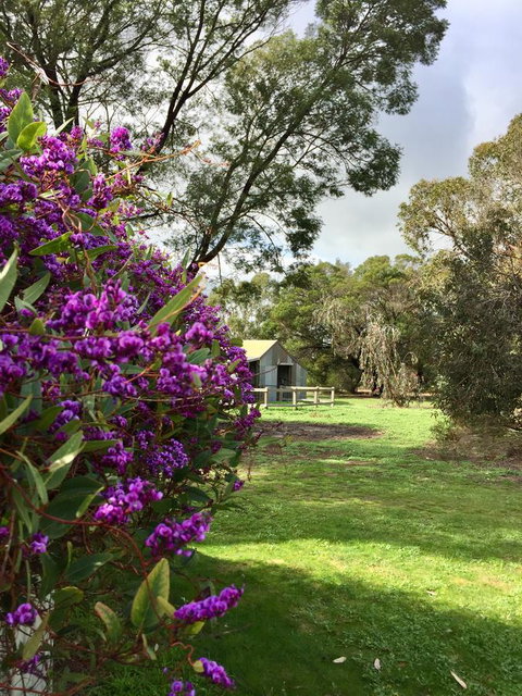 Grampians Pomonal Cottages - Accommodation Burleigh 21