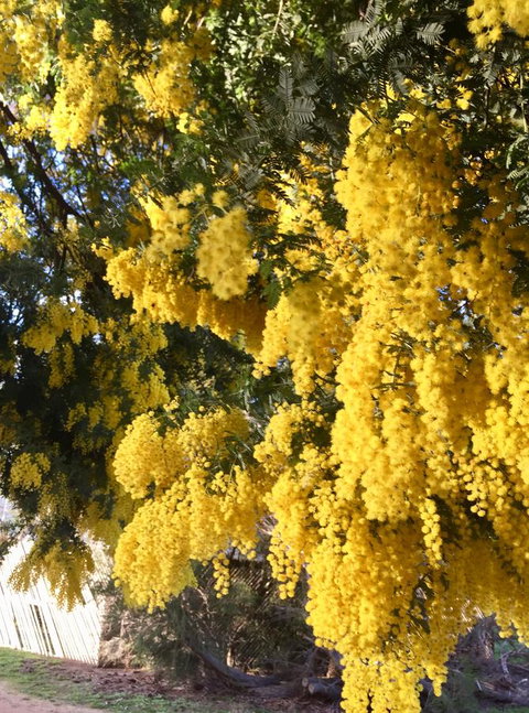 Grampians Pomonal Cottages - Accommodation Burleigh 5