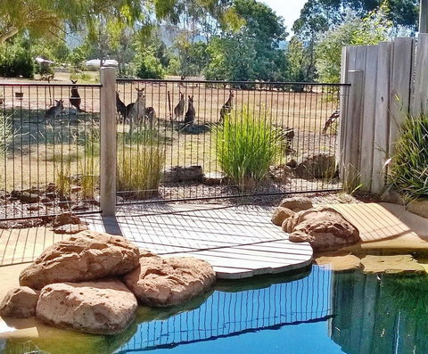 Grampians Pomonal Cottages - Accommodation Burleigh 24