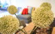 Nest-Apartments On QV - thumb 8