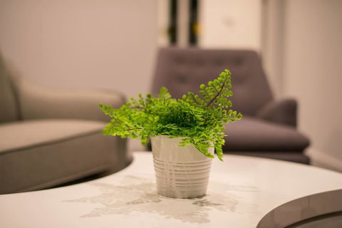 Astrina 2 Bed 2 Bath Apartment - Accommodation Burleigh 4