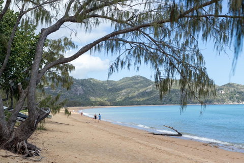 Sails On Horseshoe - Accommodation Burleigh 31