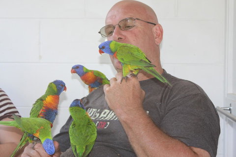Amaroo On Mandalay, Magnetic Island - Accommodation Burleigh 33