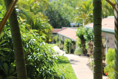 Amaroo On Mandalay, Magnetic Island - Accommodation Burleigh 24