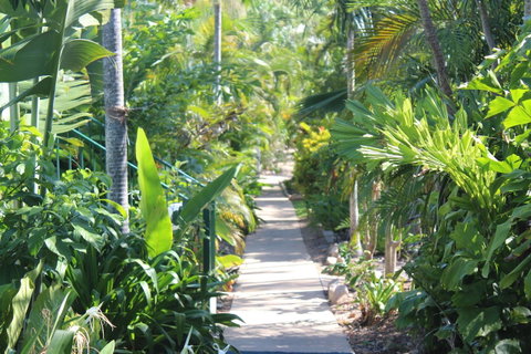 Amaroo On Mandalay, Magnetic Island - Accommodation Burleigh 23
