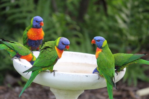 Amaroo On Mandalay, Magnetic Island - Accommodation Burleigh 27