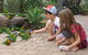 Island Leisure Resort - thumb 25