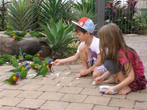 Island Leisure Resort - Accommodation Burleigh 25