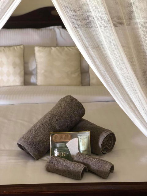 The Bearded Dragon Boutique Hotel - Accommodation Burleigh 4