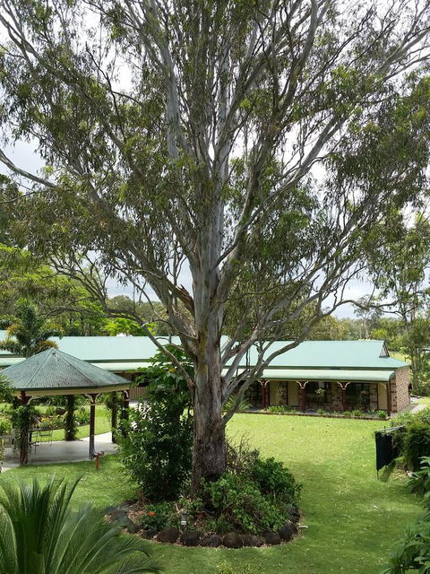 The Bearded Dragon Boutique Hotel - Accommodation Burleigh 32