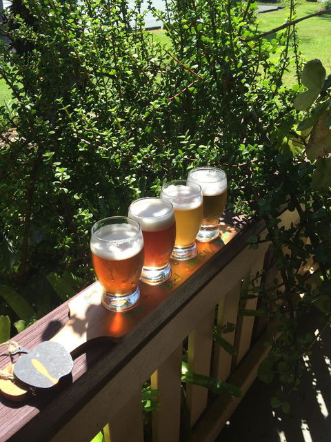 The Bearded Dragon Boutique Hotel - Accommodation Burleigh 31