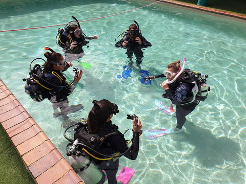 Backpackers In Paradise 18-35 Hostel - Accommodation Burleigh 18