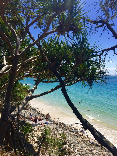 Bayona 1 Little Cove - Accommodation Burleigh 19
