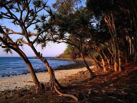 Bayona 1 Little Cove - Accommodation Burleigh 21