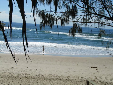 Le Beach Apartments - Accommodation Burleigh 16
