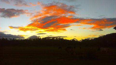 Ironbark House - Accommodation Burleigh 32