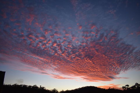 Ironbark House - Accommodation Burleigh 6