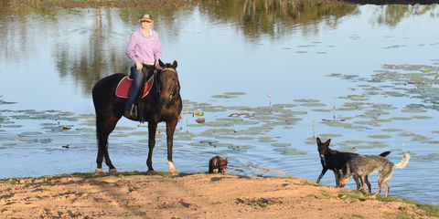 Ironbark House - Accommodation Burleigh 39