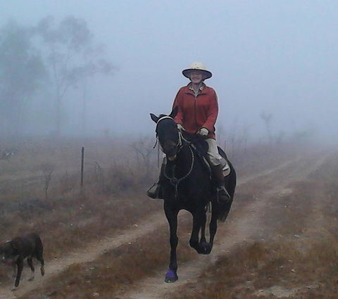 Ironbark House - Accommodation Burleigh 37