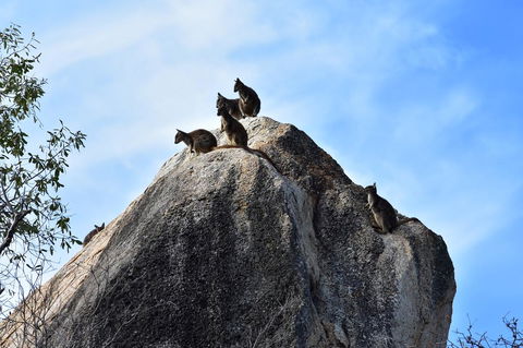 Ironbark House - Accommodation Burleigh 38