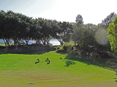 Waterfront Resort Villa With Buggy - Accommodation Burleigh 32