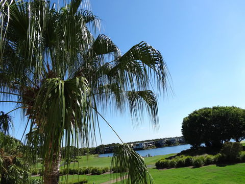 Waterfront Resort Villa With Buggy - Accommodation Burleigh 33