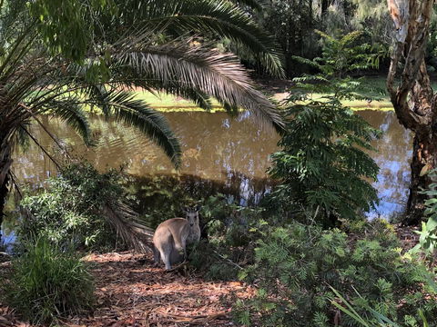 Waterfront Resort Villa With Buggy - Accommodation Burleigh 25