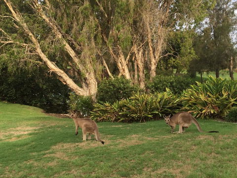 Waterfront Resort Villa With Buggy - Accommodation Burleigh 19