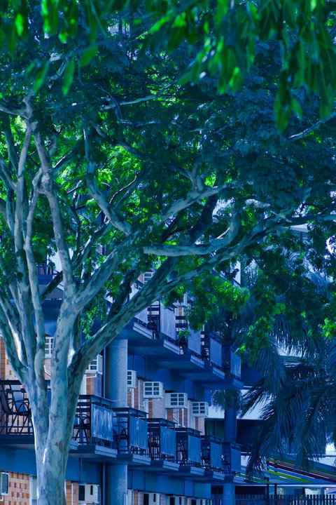 Soho Brisbane - Accommodation Burleigh 12