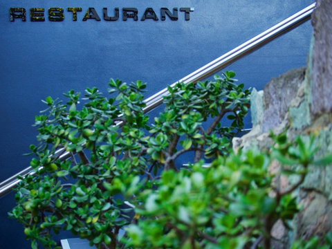 Soho Brisbane - Accommodation Burleigh 22